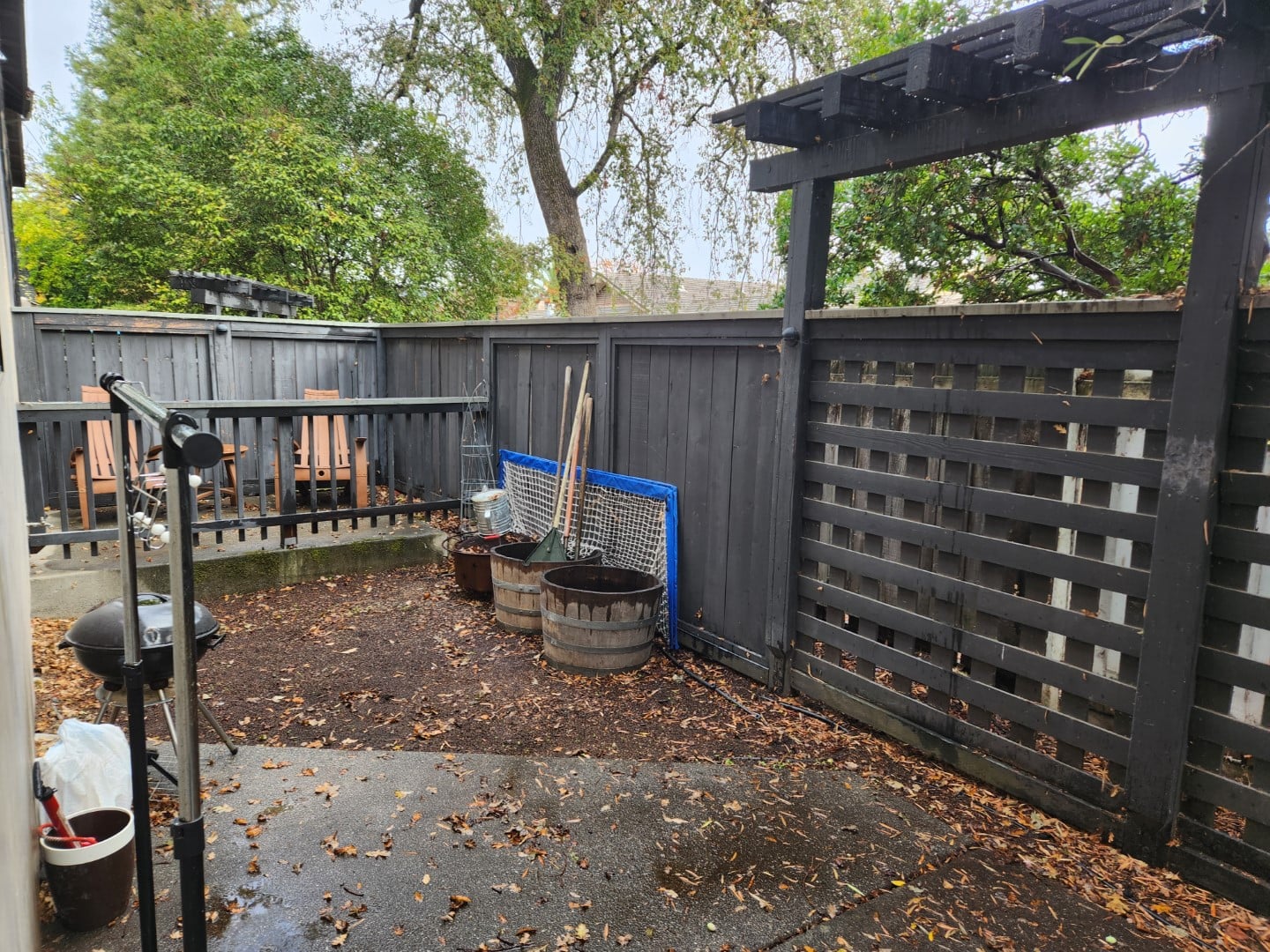 1528 main st back yard 3