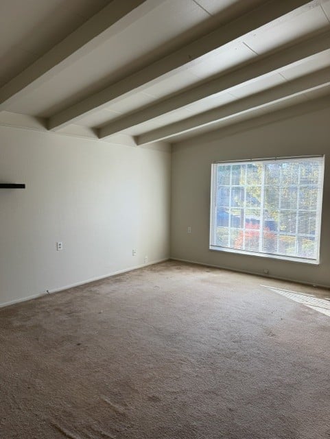 living rm